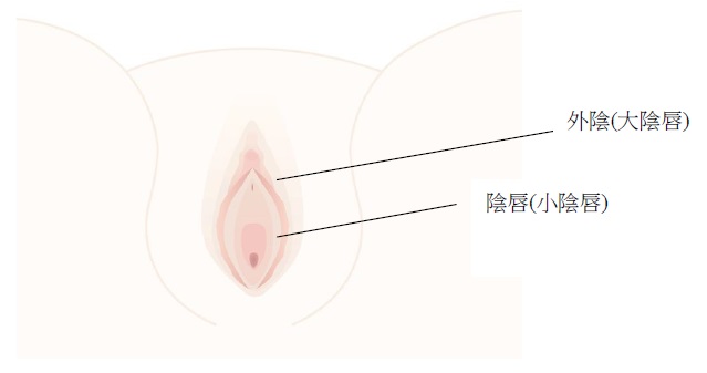 高雄陰唇整形/陰唇美白